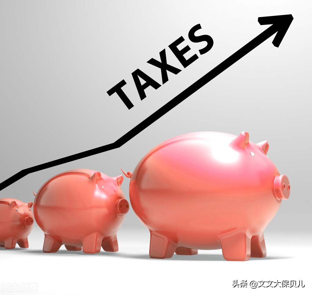 一般纳税人的税率都是多少？