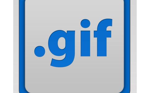 gif是什么格式的文件（一文了解GIF的意思）