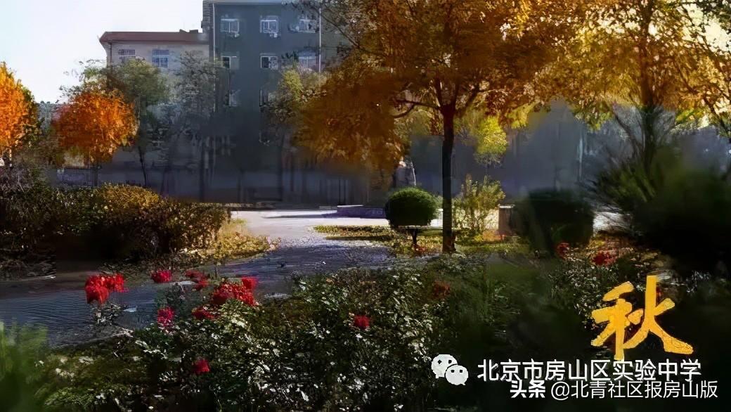 北京市房山区高中名单（房山高级中学名录）