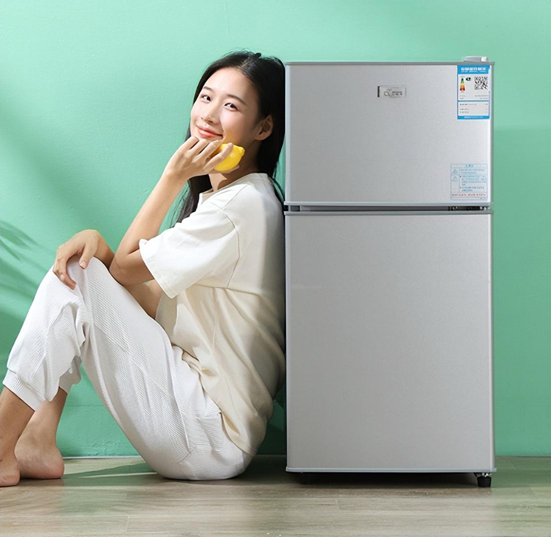 中国冰箱十大名牌排行榜2022（冰箱质量销量排名前十名）