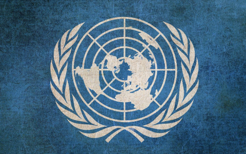 联合国五个常任理事国是哪五个（常任理事国是干什么的）