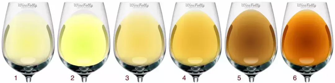 白葡萄酒和红葡萄酒的区别（红葡萄酒和白葡萄酒4大区别）