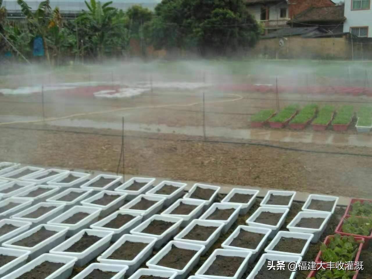 节水灌溉主要有哪三种（节水灌溉技术有哪些）
