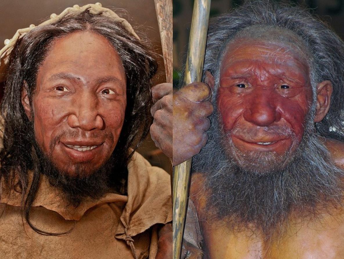 人类第一个祖先是谁（第一个人类是怎么诞生的）