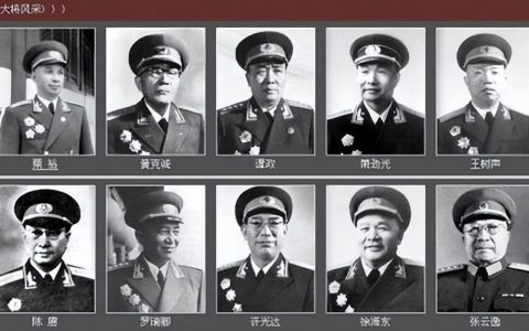 中国十大将军排名（新中国的十大将军名单）