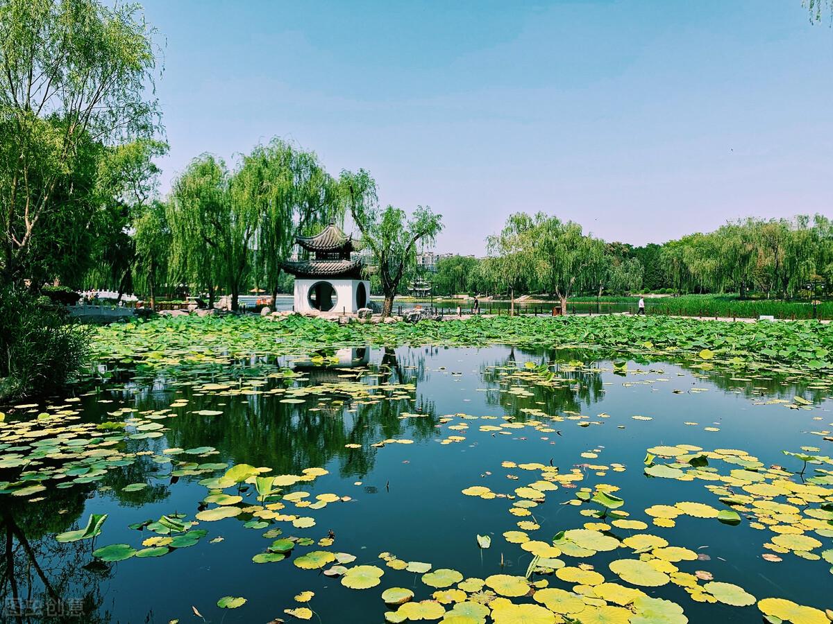 北京城市公园有哪些（北京城市公园名单大全）